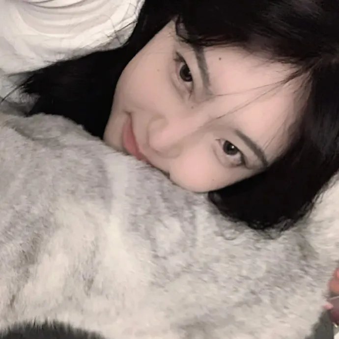 追梦小海豚
